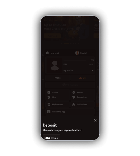 Wild Royal payment screen with card, wallet, bank and crypto options.